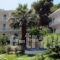 Zontanos Studios_travel_packages_in_Piraeus Islands - Trizonia_Poros_Poros Chora