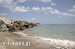 Sofoklis_s __1