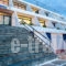 Hippocampus_lowest prices_in_Hotel_Cyclades Islands_Paros_Paros Chora