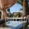 Villa Olga_best deals_Villa_Ionian Islands_Lefkada_Kariotes