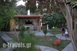 Green Paradise in Lefkada Rest Areas, Lefkada, Ionian Islands