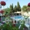 Elli-Marina Studios_best prices_in_Apartment_Ionian Islands_Corfu_Benitses