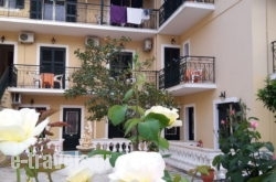 Elli-Marina Studios in Benitses, Corfu, Ionian Islands