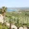 Alkion Apartments_best deals_Apartment_Crete_Chania_Georgioupoli