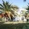 Gorgona_lowest prices_in_Hotel_Crete_Heraklion_Ammoudara