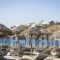 Asteri_travel_packages_in_Cyclades Islands_Mykonos_Ornos