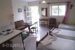 Galaxy_lowest prices_in_Hotel_Dodekanessos Islands_Kos_Kos Chora