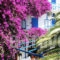 Hippocampus_lowest prices_in_Hotel_Piraeus Islands - Trizonia_Aigina_Perdika