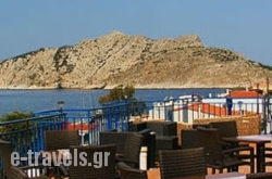 Hippocampus in Perdika, Aigina, Piraeus Islands - Trizonia