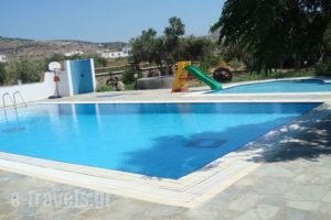 Manolis Studios_accommodation_in_Apartment_Cyclades Islands_Naxos_Mikri Vigla