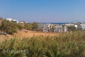 Oassis Studios_best deals_Apartment_Cyclades Islands_Paros_Piso Livadi