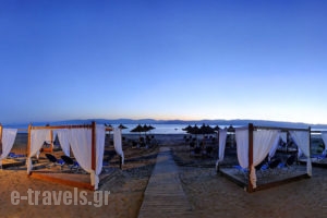Island Beach Resort_lowest prices_in_Hotel_Ionian Islands_Corfu_Kavos