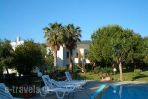 Apartments Seagull_lowest prices_in_Apartment_Dodekanessos Islands_Kos_Kos Chora
