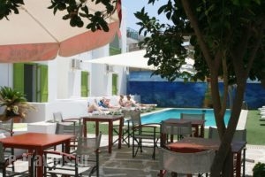 Siren Hotel_best deals_Apartment_Cyclades Islands_Paros_Piso Livadi