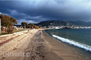 Katerina_accommodation_in_Hotel_Cyclades Islands_Paros_Piso Livadi