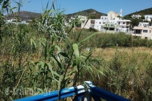 Aegialis_accommodation_in_Hotel_Cyclades Islands_Syros_Galissas