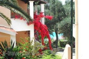 Olga's_best prices_in_Apartment_Ionian Islands_Corfu_Sidari