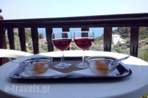 Ariadne_holidays_in_Hotel_Sporades Islands_Skopelos_Stafylos