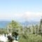 Veroniki Studios & Apartments_holidays_in_Apartment_Ionian Islands_Corfu_Melitsa