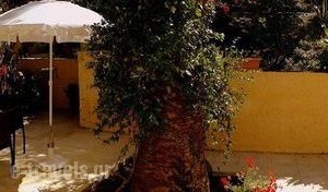 Veroniki Studios & Apartments_travel_packages_in_Ionian Islands_Corfu_Melitsa