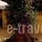 Veroniki Studios & Apartments_travel_packages_in_Ionian Islands_Corfu_Melitsa