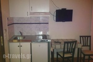 Palatino Studio_lowest prices_in_Apartment_Central Greece_Evia_Edipsos