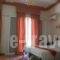 Palatino Studio_best prices_in_Apartment_Central Greece_Evia_Edipsos