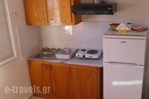 Galinios Ormos_accommodation_in_Apartment_Cyclades Islands_Syros_Syrosst Areas