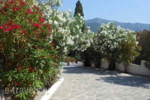 Ziogas Apartments_travel_packages_in_Ionian Islands_Corfu_Kato Korakiana