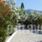 Ziogas Apartments_travel_packages_in_Ionian Islands_Corfu_Kato Korakiana