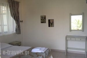 Yasemi Rooms & Studios_best deals_Room_Ionian Islands_Lefkada_Vasiliki