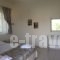 Yasemi Rooms & Studios_best deals_Room_Ionian Islands_Lefkada_Vasiliki