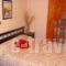 Hotel Vasilis_best deals_Hotel_Peloponesse_Argolida_Nafplio