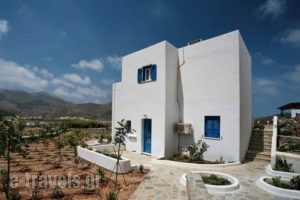 Amorgion_lowest prices_in_Hotel_Cyclades Islands_Amorgos_Katapola