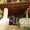 Traganitsa_accommodation_in_Room_Peloponesse_Messinia_Petrochori