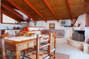 Sea Side Studios_lowest prices_in_Apartment_Ionian Islands_Zakinthos_Planos