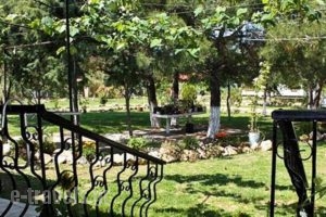 Studios Dimitraki_best deals_Hotel_Aegean Islands_Thasos_Thasos Chora