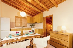 Spinos Studios_holidays_in_Apartment_Ionian Islands_Zakinthos_Alykes