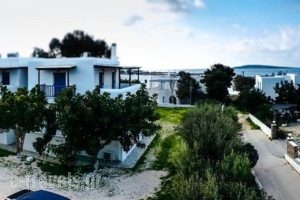 Maistrali_accommodation_in_Apartment_Cyclades Islands_Paros_Alyki