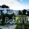 Maistrali_accommodation_in_Apartment_Cyclades Islands_Paros_Alyki