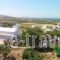 Victoria Studios_best deals_Apartment_Cyclades Islands_Naxos_Mikri Vigla