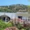 Georgia Studios_accommodation_in_Hotel_Aegean Islands_Ikaria_Ikaria Chora