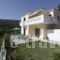 Villa Platanaki_holidays_in_Villa_Aegean Islands_Samos_Pythagorio