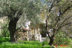 Lithea Traditional Houses_best prices_in_Room_Sporades Islands_Alonnisos_Alonissos Rest Areas