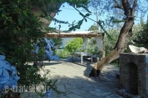 Lithea Traditional Houses_holidays_in_Room_Sporades Islands_Alonnisos_Alonissos Rest Areas