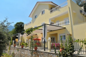Nestor Apartments_accommodation_in_Apartment_Aegean Islands_Thasos_Thasos Chora