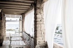 Adelmar & Suites_s __1