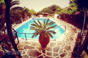 Villa Rena_best prices_in_Villa_Cyclades Islands_Andros_Batsi