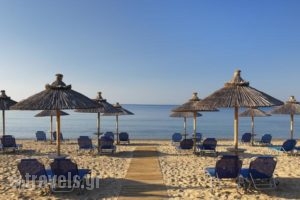Blue Dolphin Hotel_best prices_in_Hotel_Macedonia_Halkidiki_Kassandreia