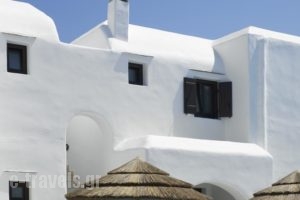 Anemomilos_best deals_Hotel_Cyclades Islands_Naxos_Naxos chora